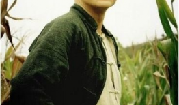 何冰 电视剧,演绎人生百态，塑造经典角色