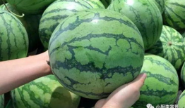 宁明吃瓜爆料是真的吗,真相揭秘，是真是假？