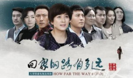 回家的路电视剧,温情演绎人生归途，共筑心灵家园