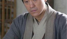 何冰 电视剧,演绎人生百态，塑造经典角色