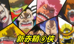 海贼王风之动漫,海贼王风之动漫的传奇征程