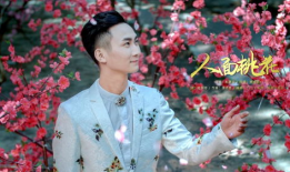 人面桃花电视剧全集,穿越千年情缘的悲喜传奇