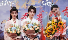 莲花 电视剧,穿越时空的传奇爱情