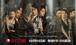 谍战狂花电视剧全集,风云变幻的特工传奇