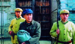 五月槐花香电视剧,古韵风情里的爱恨情仇