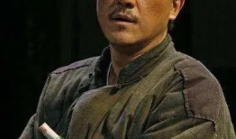 何冰 电视剧,演绎人生百态，塑造经典角色