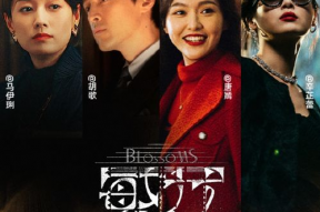 有个电视剧,一代人的青春记忆