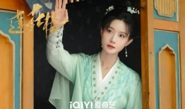 莲花 电视剧,穿越时空的传奇爱情