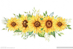 向日葵动漫,阳光照耀下的青春梦想之旅