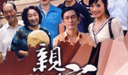 亲家 电视剧,家庭纷争与情感纠葛的温情演绎