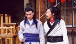 电视剧杨门虎将全集,传奇女将的荣耀征程