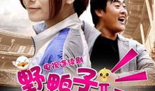 野鸭子2电视剧全集,续写亲情与成长传奇