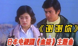 血疑电视剧,家族恩怨，复仇之路