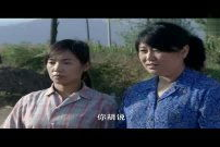 樱桃电视剧在线观看,情感纠葛中的青春岁月