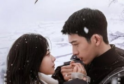 归路电视剧,探寻人生归途，揭秘情感纠葛