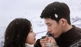 归路电视剧,探寻人生归途，揭秘情感纠葛