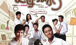 丈母娘来了电视剧,婆媳关系的微妙较量与和谐共融之路