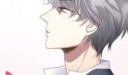 男同动漫网站,多元文化的视觉盛宴