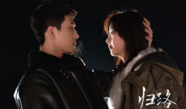 归路电视剧,探寻人生归途，揭秘情感纠葛