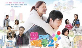 野鸭子2电视剧全集,续写亲情与成长传奇