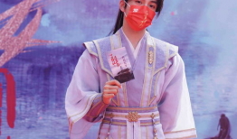 莲花 电视剧,穿越时空的传奇爱情