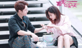 狐狸的夏天电视剧,浪漫校园的甜蜜邂逅与成长之旅