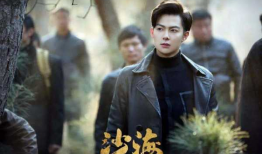 电视剧沙海,探寻古墓之谜，揭开神秘家族传承