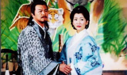 电视剧杨门虎将全集,传奇女将的荣耀征程